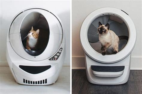 Litter Robot 4 Review: We Tried the Ultimate Smart Litter Box