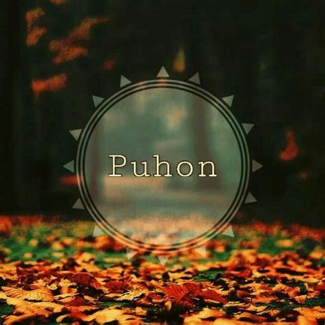 #puhon on Tumblr