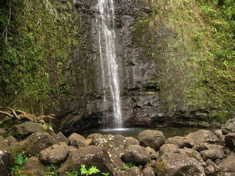 Manoa Falls, Honolulu, Hawaii | Manoa Falls is a waterfall i… | Flickr