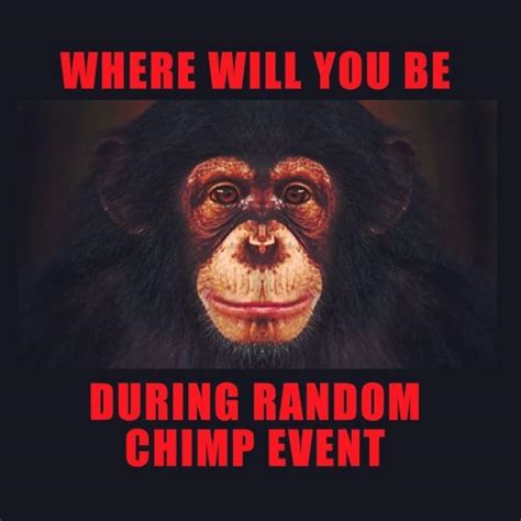 Random Chimp Event | Know Your Meme