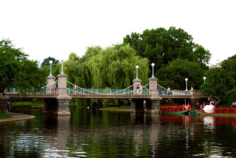 Bridge by Swan Boats, Boston Commons | Boston public garden, Boston public, Public garden