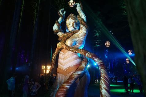 25 Glorious Electric Forest Art Installations