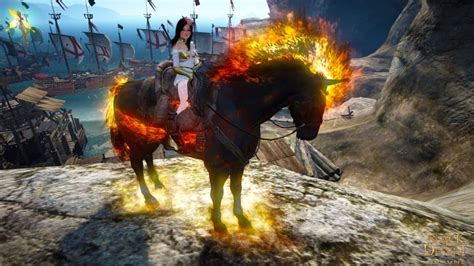 The Best BDO Horse Training Imperial Delivery Guide - GameTaco