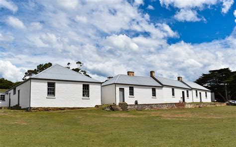 The Best Things to see and do on a day trip to Maria Island, Tasmania | LesterLost