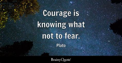 Courage is knowing what not to fear. - Plato - BrainyQuote