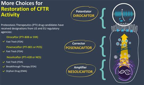 Proteostasis Therapeutics: A Clinical Stage Company That's Worth The Risk (OTCMKTS:KANT ...