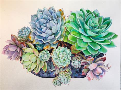 Succulent's lil Visitor | Watercolor succulents, Succulents illustration, Succulent art