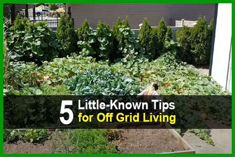 5 Little-Known Tips For Off-Grid Living