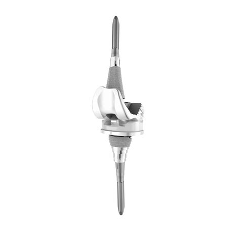 Three-compartment knee prosthesis - LPS™ - Depuy Synthes - revision / mobile-bearing