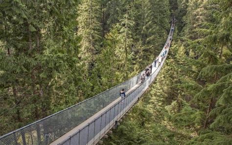 Capilano Suspension Bridge Park Visit Guide (2024) - Vancouver Planner