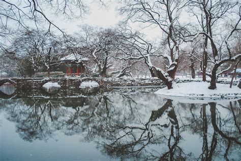 A Guide to Winter in Korea: Survival Tips – There She Goes Again