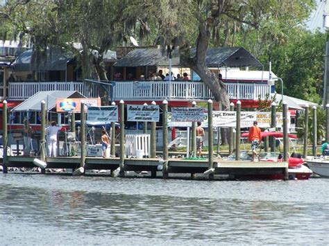 HOMOSASSA RIVERSIDE RESORT - Updated 2018 Prices & Hotel Reviews ...