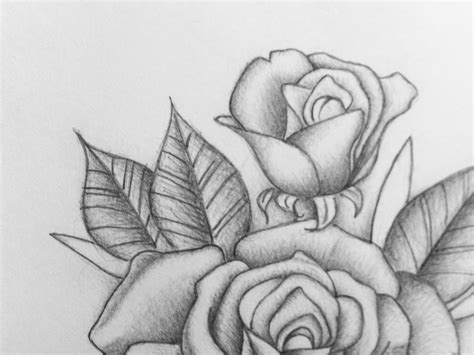 Delicate Pencil Rose Romantic Rose sketch Flower Drawing | Etsy