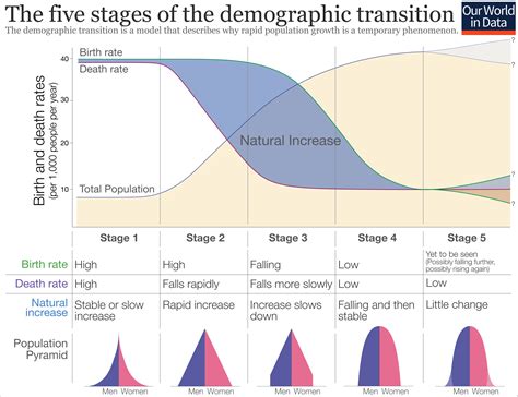 What Best Describes the Population Pyramid of Italy