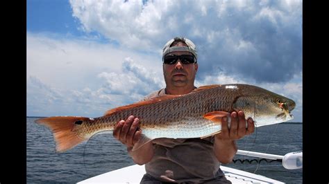 Fishing Guide New Smyrna Beach for Redfish - YouTube