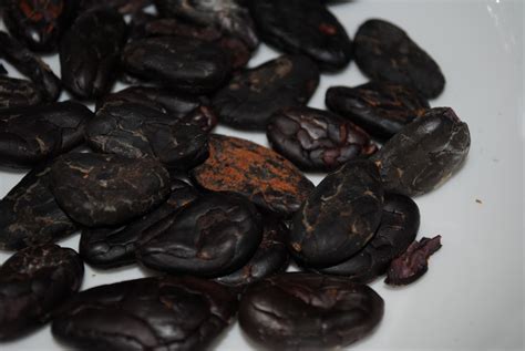 Good Food: Cacao Beans from the Mexican House of Spice