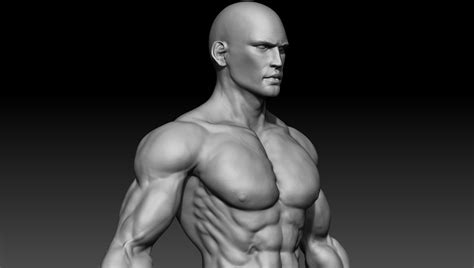 Awesome 3d Model Muscle - Emgold Mockup