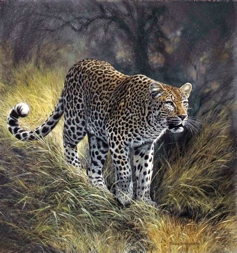 Wildlife Art