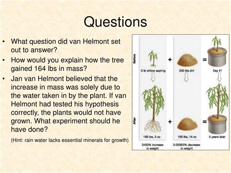 PPT - Jan van Helmont’s Famous Tree Experiment PowerPoint Presentation ...