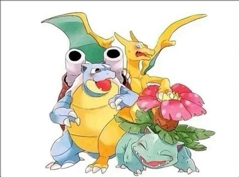 The Best Pokemon Starter Trio | Anime Amino