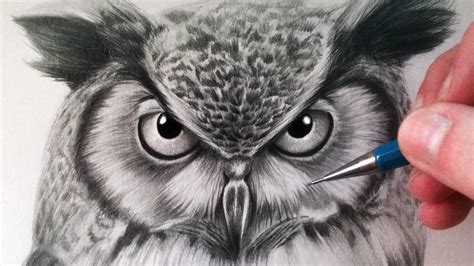 How To Draw Owl Eyes