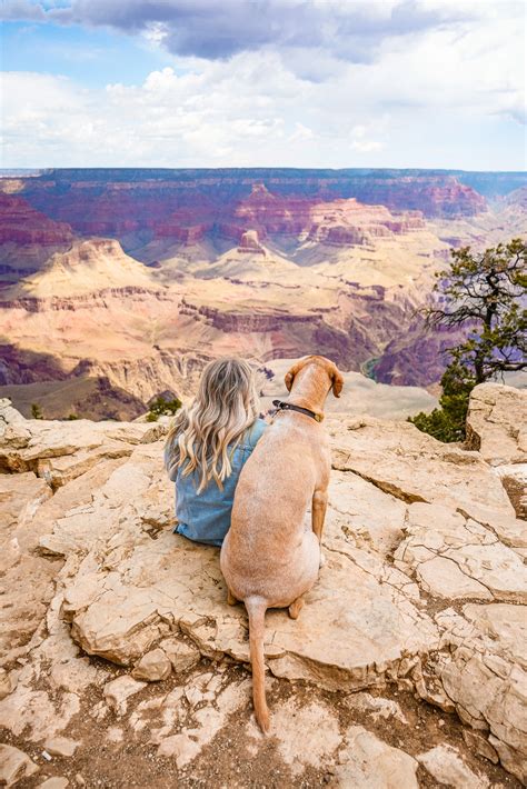 A Perfect Dog Friendly Grand Canyon Weekend Getaway - Her Jolie Journey