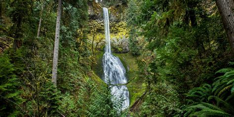 Clackamas River Trail | Outdoor Project