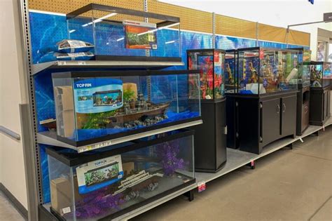 PetSmart Fish Tank - A Comprehensive Guide - Petsmartgo