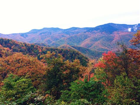 Blue Ridge Parkway in the Fall. The perfect fall drive. | Landscape, Autumn drives, Natural ...