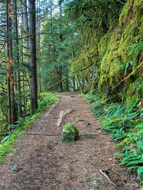 14122. Hiking the Boulder River Trail in Washington State | River trail, Bouldering, Washington ...