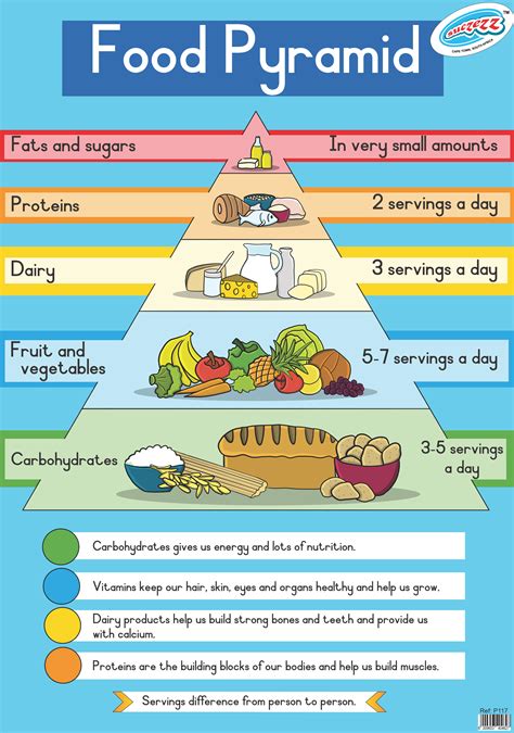 "Food Pyramid" laminated poster 680mm x 480mm - Educational Toys Online