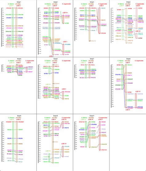 Comparative genetic linkage map. Three independent maps are compared,... | Download Scientific ...