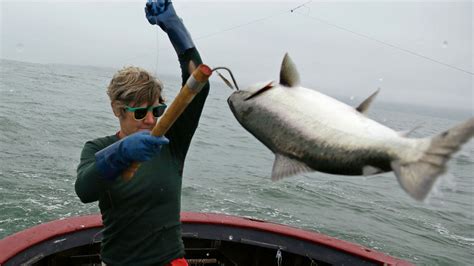 California salmon fishing canceled for second year in row as population ...