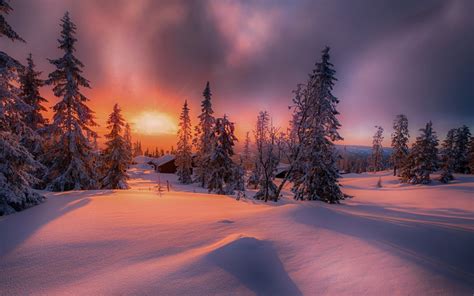 nature, Landscape, Forest, Sunset, Cottage, Winter, Snow, Trees, Cold, Clouds, Norway, Yellow ...