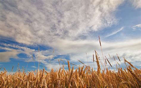 sky, Clouds, Nature, Landscape Wallpapers HD / Desktop and Mobile Backgrounds