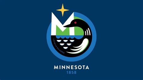 Unfurled! Minnesota state flag public submissions revealed | MPR News