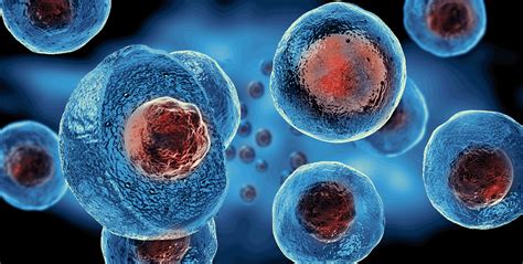 Tecan Cell Biology Webinar Series