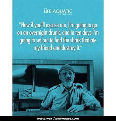 Life Aquatic Quotes. QuotesGram