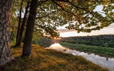 River Gauja in Latvia - Rivers & Nature Background Wallpapers on Desktop Nexus (Image 2509683)