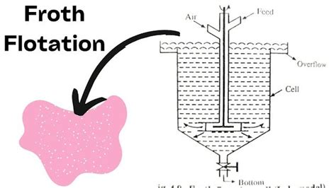 Understanding the Principles of Froth Flotation Method | Chemistry education, Froth, Pine oil