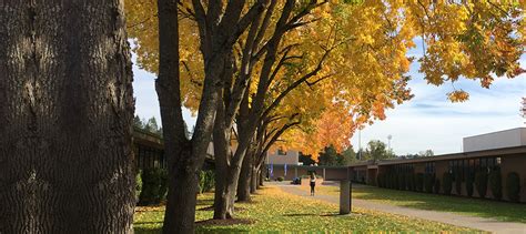 Jesuit High School : A Catholic College Preparatory High School in the ...