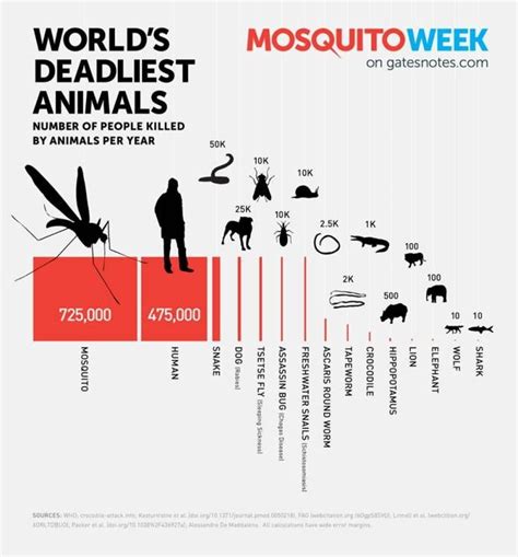 An infographic from Bill Gates on the deadliest animals in the world ...