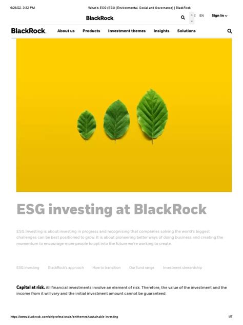 What Is ESG (ESG (Environmental, Social and Governance) - BlackRock | PDF | Black Rock ...