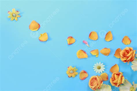 Floral Flower Petals Background, Petal, Fresh Flowers, Flowers Background Image for Free Download