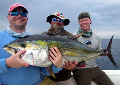 Fishing in Panama | Sport Fish Panama Island Lodge