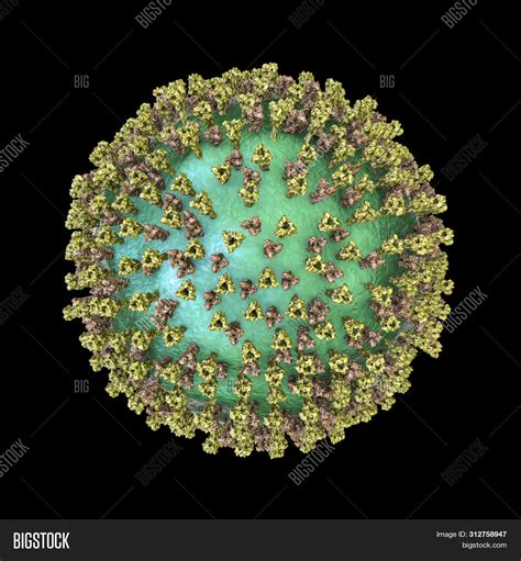 Measles Virus. 3d Image & Photo (Free Trial) | Bigstock