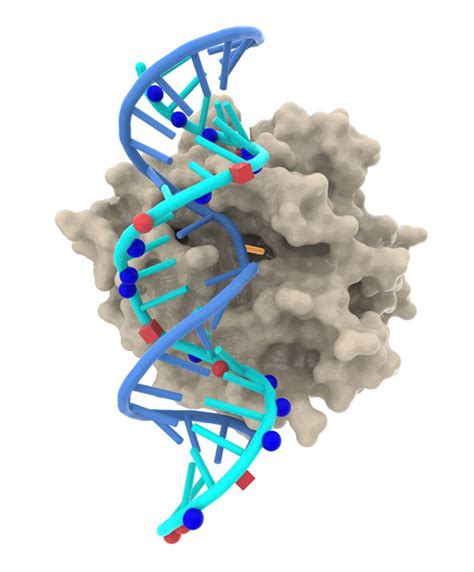 RNA Editing Is Having a Moment