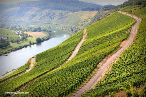 Why You Should Visit the Mosel Valley in Germany