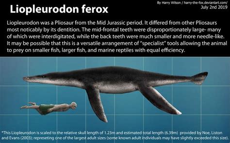 Liopleurodon Size by https://www.deviantart.com/harry-the-fox on ...