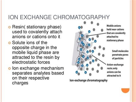 chromatographic techniques